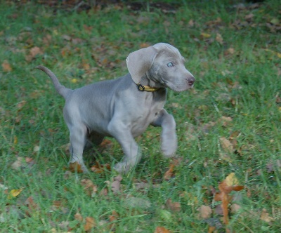 von silberweiss jäger - LET'S GO OUTSIDE !