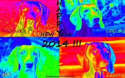 von silberweiss jäger - HAPPY NEW YEAR 2014 !!! ;-)