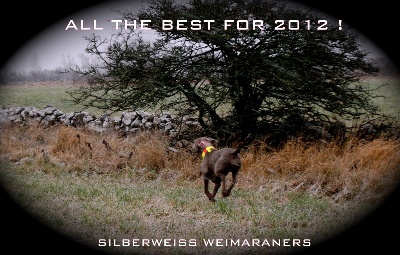 von silberweiss jäger - Tous nos meilleurs voeux pour 2012 !