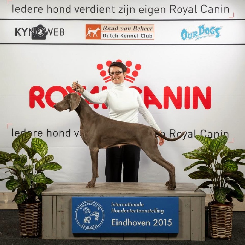 CH. Hot couture zenith von silberweiss jäger