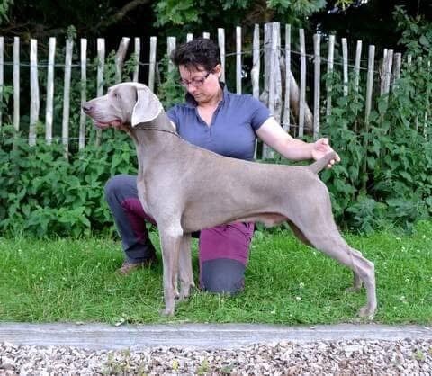 Scott von silberweiss jäger