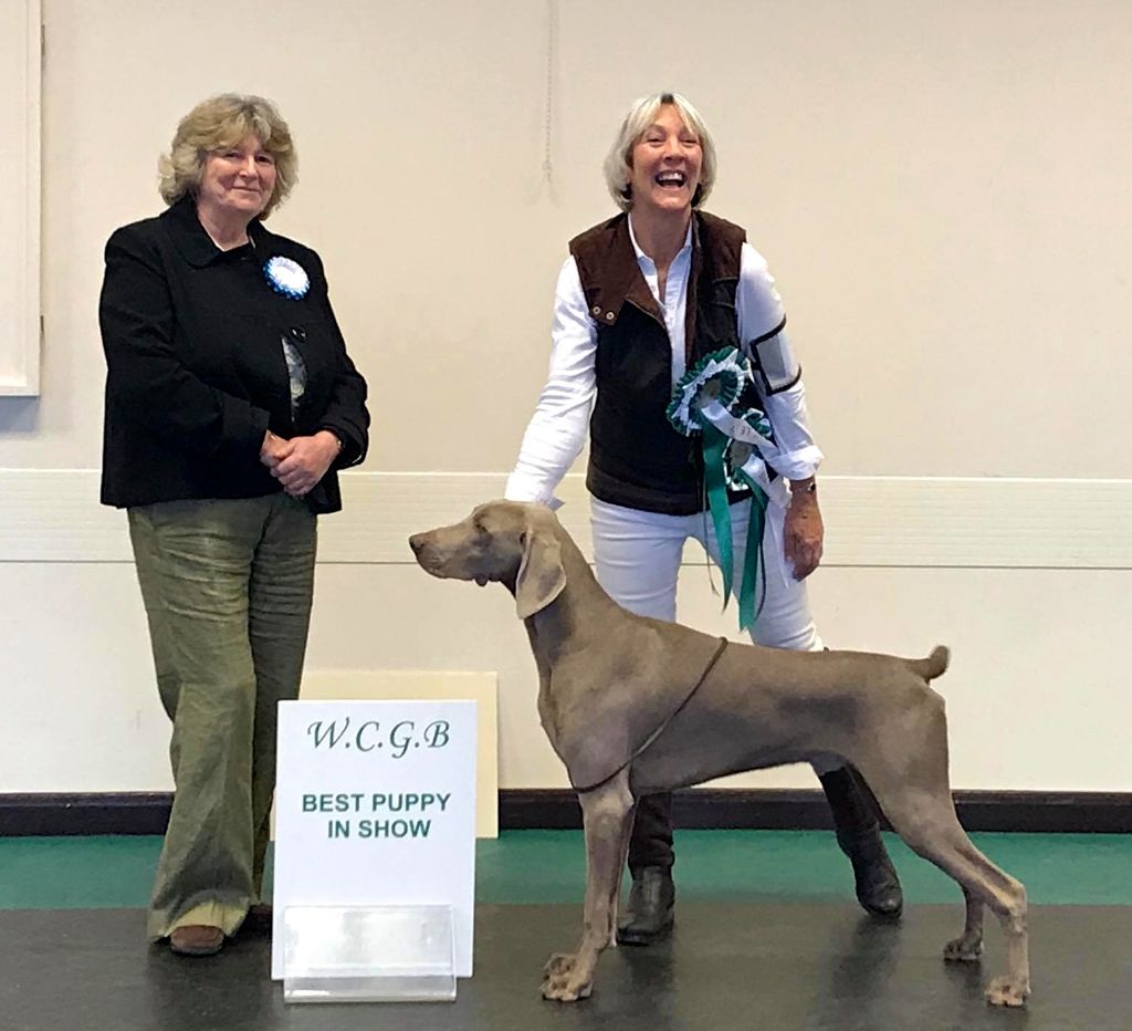 von silberweiss jäger - PHOENIX JR BEST IN SHOW en Angleterre !!!