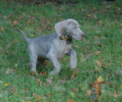 von silberweiss jäger - LET'S GO OUTSIDE !