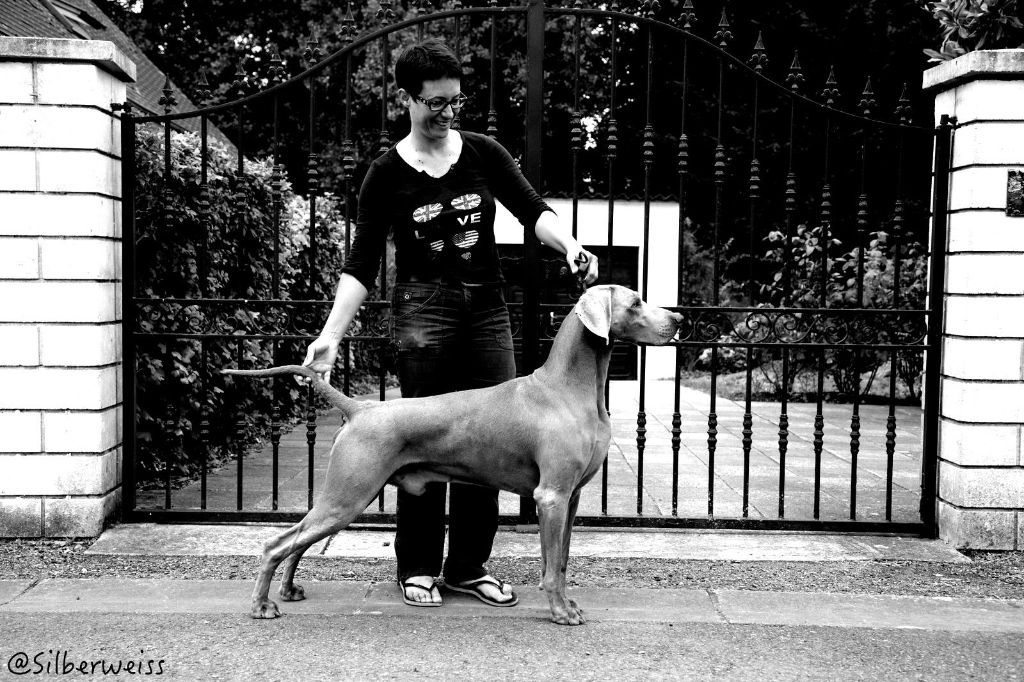 von silberweiss jäger - PHOENIX Champion de BELGIQUE !!!