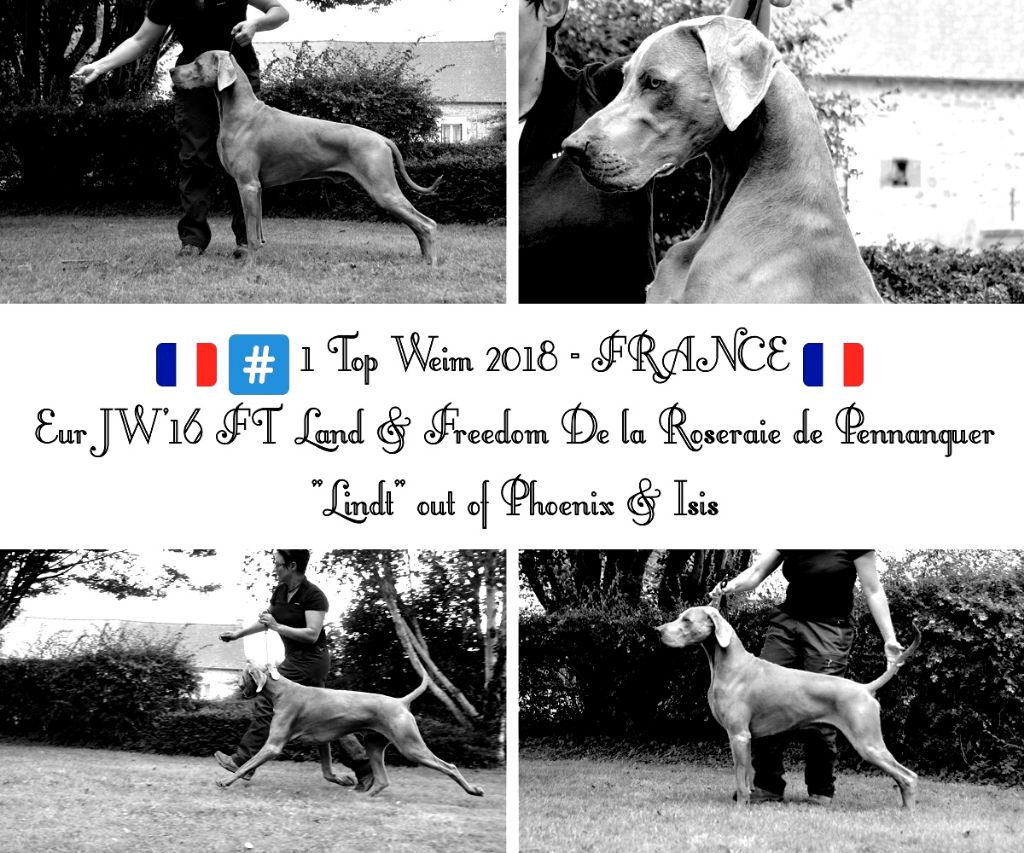 von silberweiss jäger - LINDT N°1 TOP WEIM en France !!!