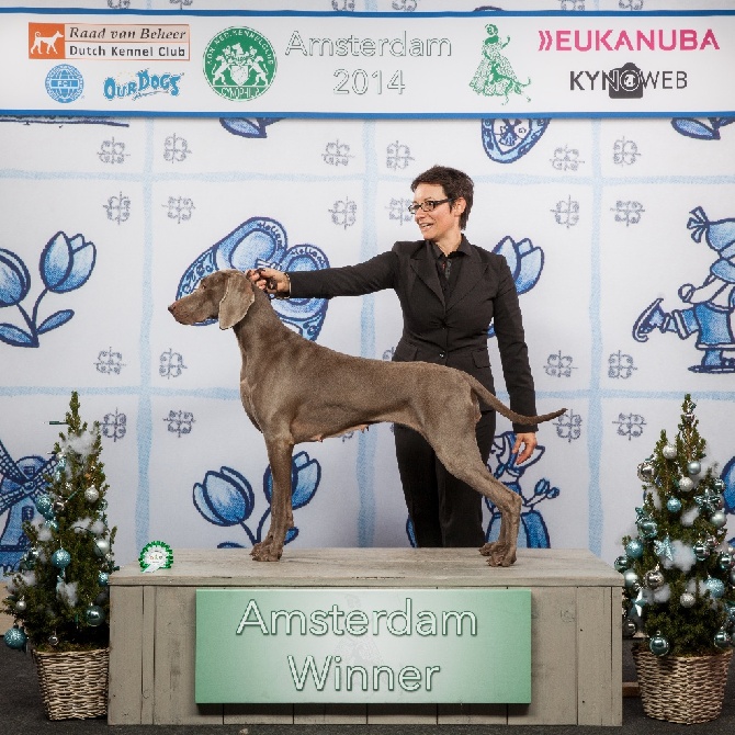 von silberweiss jäger - AMSTERDAM WINNER SHOW 2014