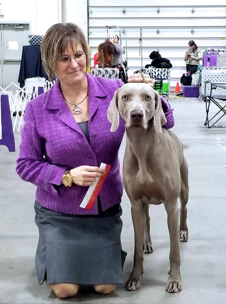 von silberweiss jäger - GEORGE devient Champion des USA !!!