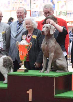 von silberweiss jäger - Daddy Foldek BEST IN SHOW à Berlin !