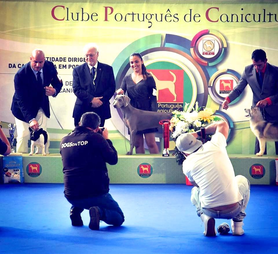 von silberweiss jäger - FADO BEST IN SHOW au Portugal !!!
