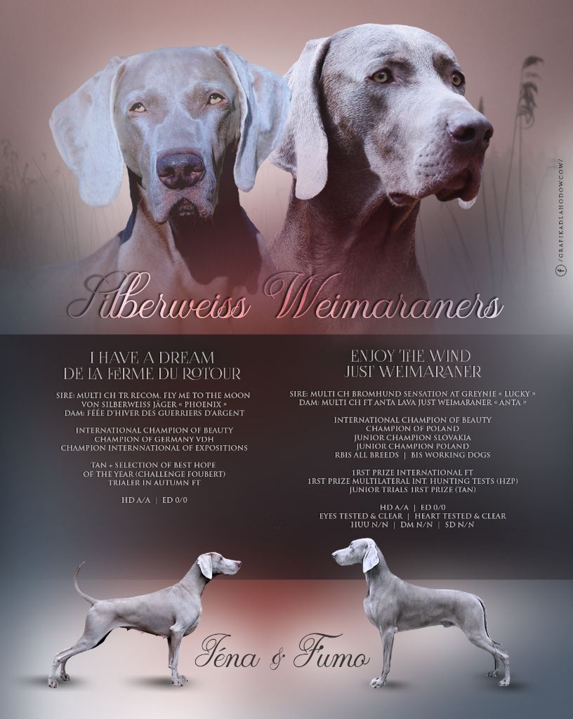 von silberweiss jäger - NEXT LITTER @SILBERWEISS !!!