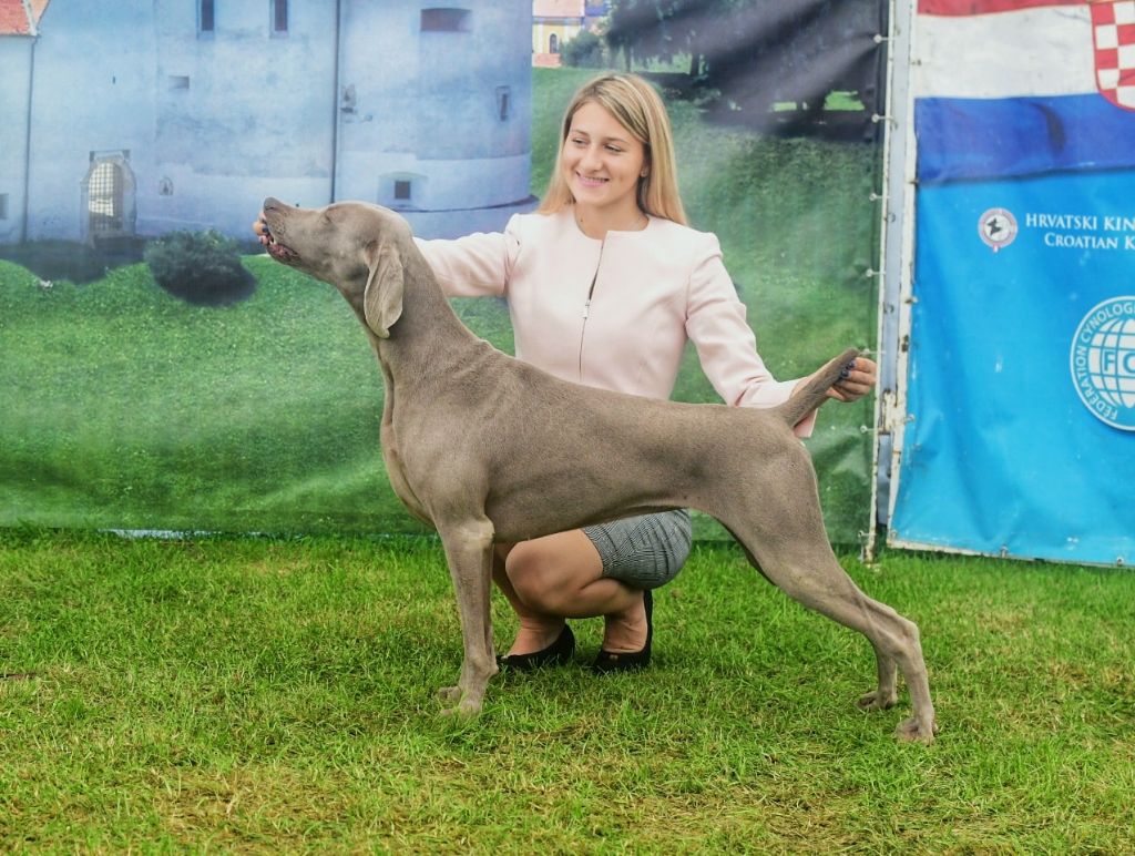 von silberweiss jäger - HONEY devient CHAMPIONNE !!!!
