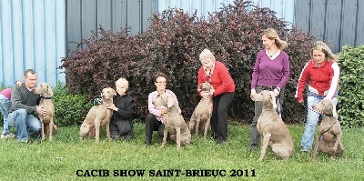 von silberweiss jäger - Les Silberweiss à Saint-Brieuc !