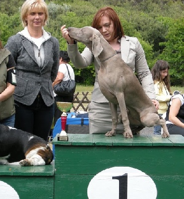 von silberweiss jäger - FRAGOLA BEST IN SHOW en Pologne !
