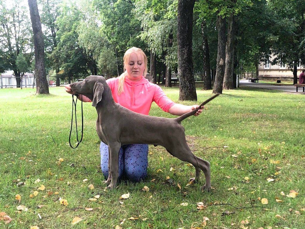 von silberweiss jäger - HERO European Puppy Winner !!!