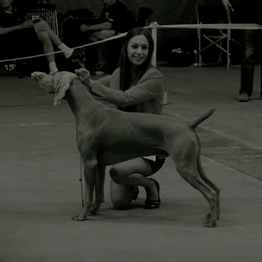 von silberweiss jäger - FLYER & COCO à Avignon !