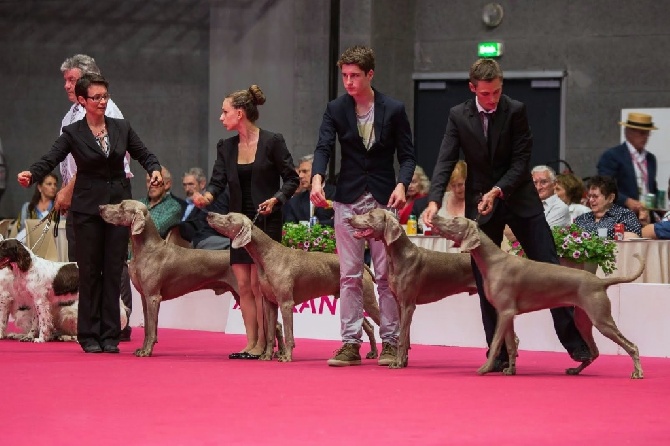von silberweiss jäger - LES CHAMPIONNATS DE FRANCE 2014 !