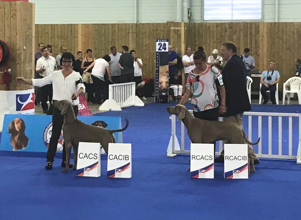 von silberweiss jäger - Les Championnats de France 2018 !
