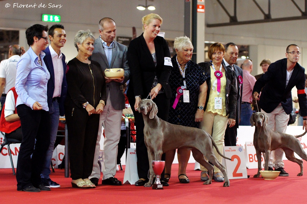 von silberweiss jäger - WORLD DOG SHOW MILAN !