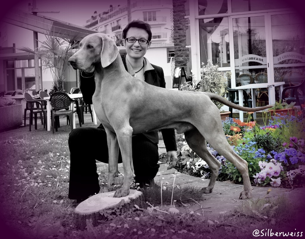 von silberweiss jäger - PHOENIX devient CHAMPION DE FRANCE !!!