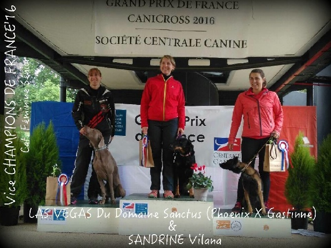 von silberweiss jäger - GRAND PRIX de FRANCE CANICROSS !!!