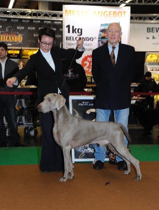 von silberweiss jäger - PHOENIX, un chien D'EXCEPTION !