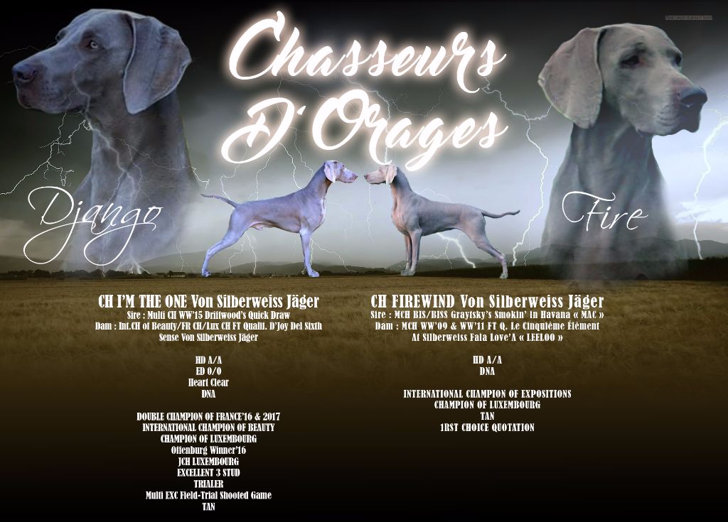von silberweiss jäger - DJANGO & FIREWIND se sont mariés !