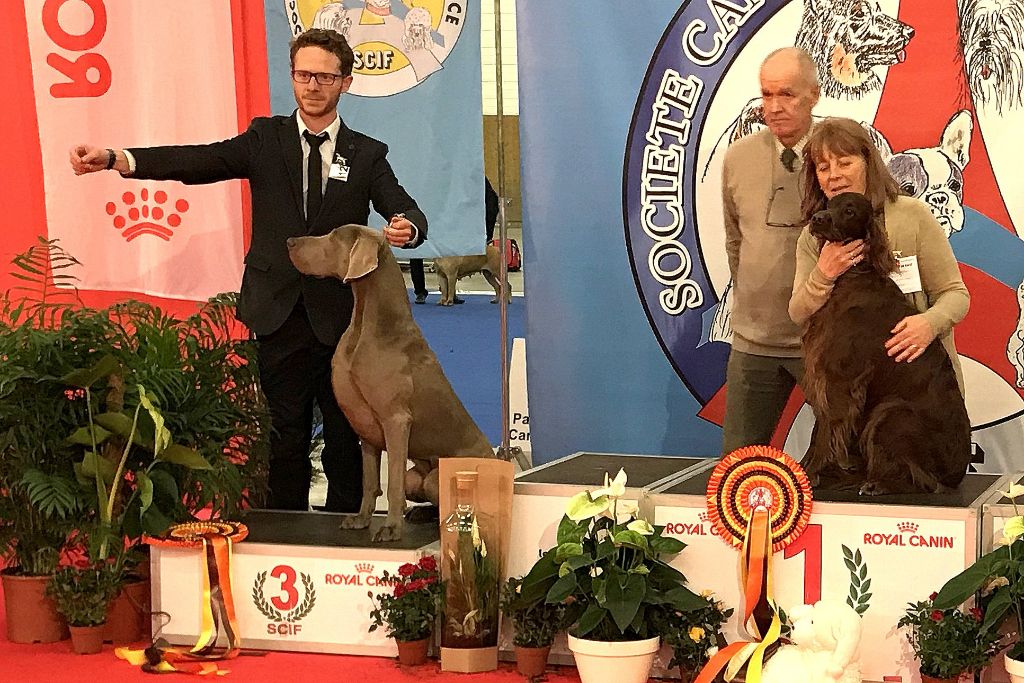 von silberweiss jäger - PARIS DOG SHOW 2018 !