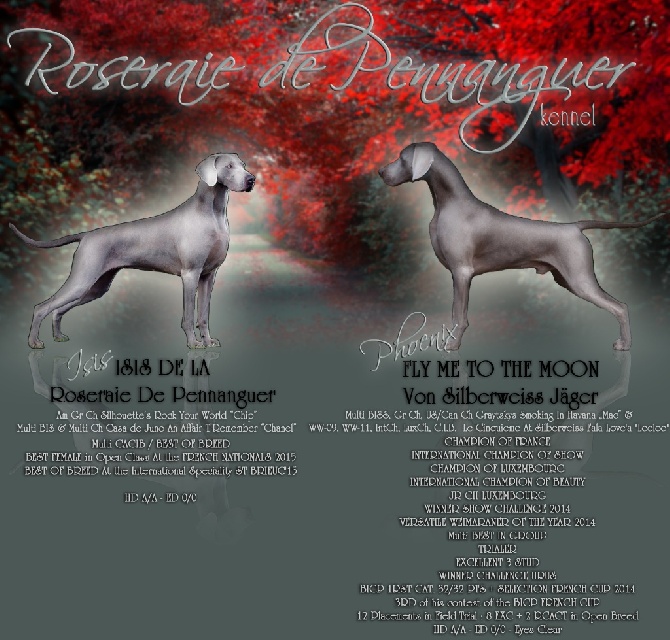 von silberweiss jäger - LITTER ON THE WAY !!!