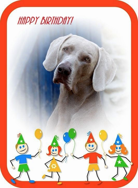 von silberweiss jäger - HAPPY BIRTHDAY PHOENIX !!!