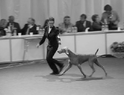 von silberweiss jäger - LEELOO EST CHAMPIONNE DU MONDE !