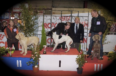 von silberweiss jäger - HORDIC BEST IN SHOW à Périgueux !