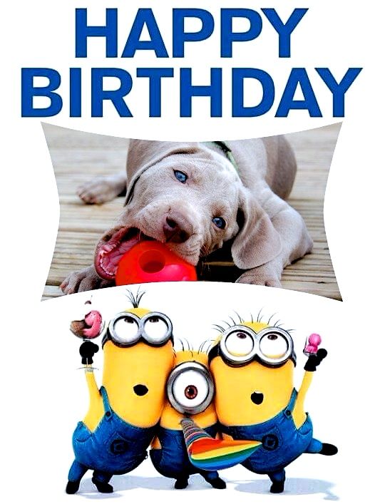von silberweiss jäger - HAPPY BIRTHDAY BUGATTI & FOLDEK's Darlings !!!