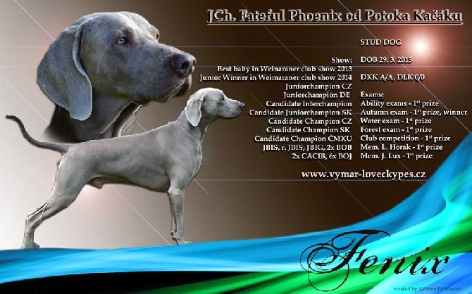 von silberweiss jäger - Le fils de PHOENIX sacré "TOP DOG 2014" en CZ !!!