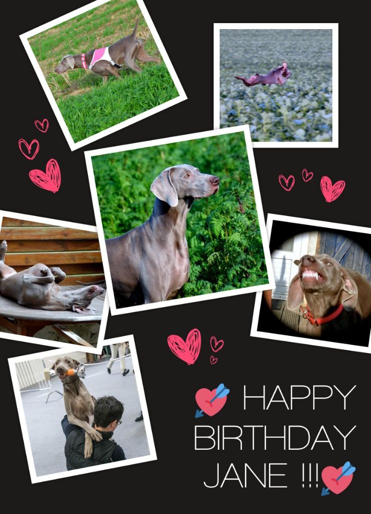 von silberweiss jäger - HAPPY BIRTHDAY JANE !!!