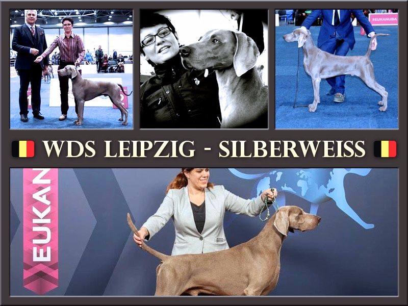 von silberweiss jäger - Les Silberweiss au CHAMPIONNAT DU MONDE !