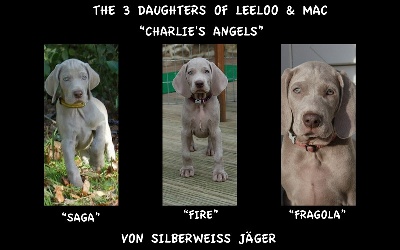 von silberweiss jäger - Les "Charlie's Angels" ont encore fait parler d'elles !
