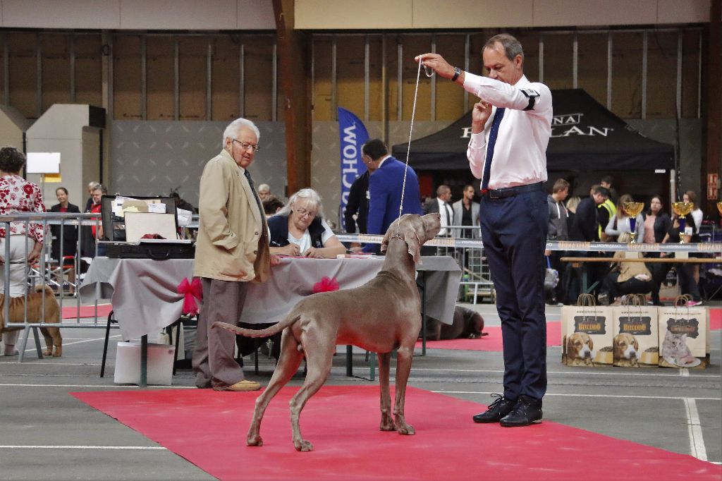 von silberweiss jäger - JÄGER Champion International à Mâcon !