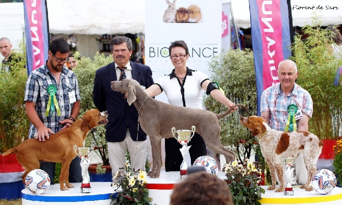 von silberweiss jäger - ZENITH BEST OF GROUP @ NDS Chateaubriant !