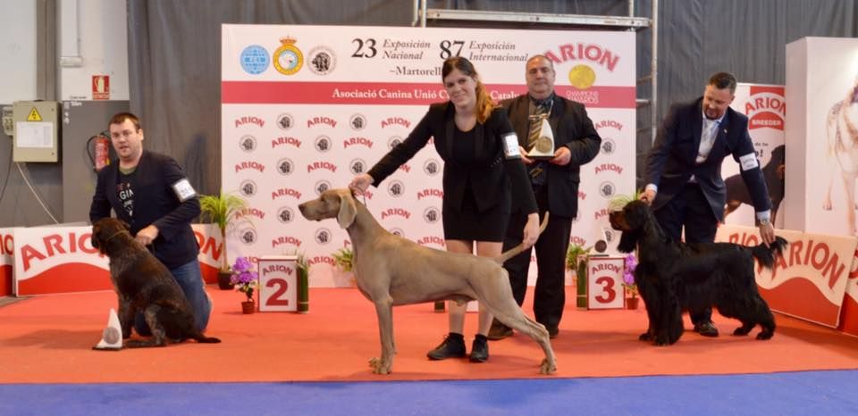 von silberweiss jäger - MACK cartonne en Espagne !