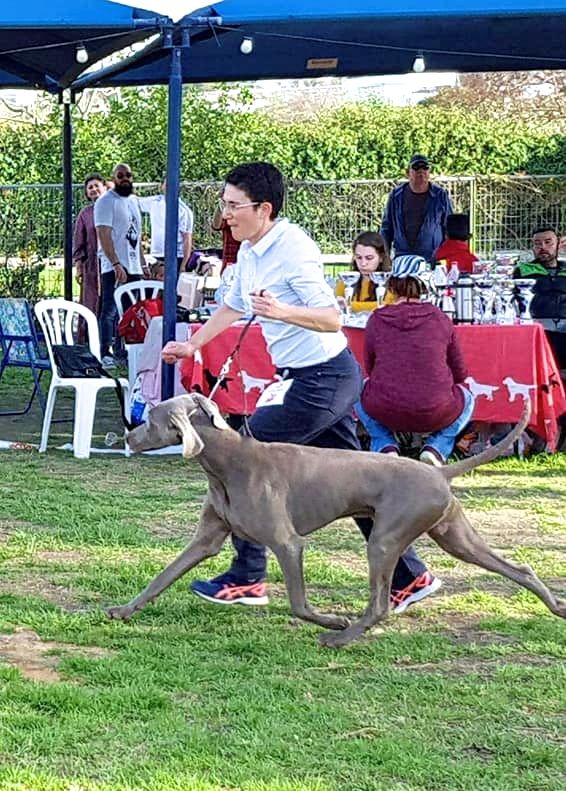 von silberweiss jäger - TORMY - BEST JUNIOR IN SHOW !!!