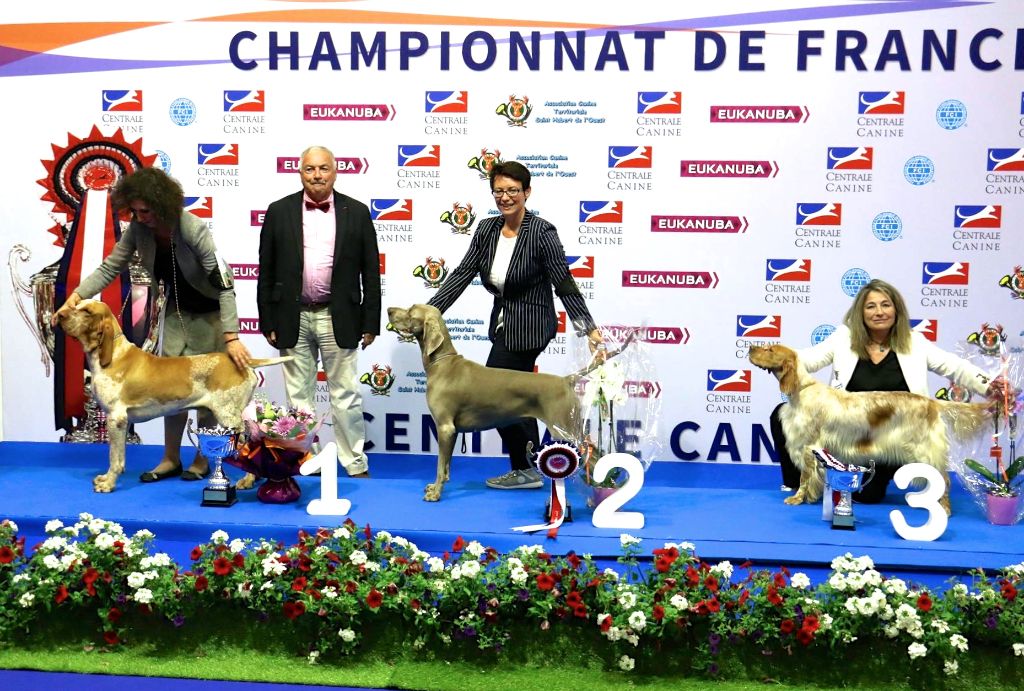 von silberweiss jäger - CHAMPIONNATS DE FRANCE 2017