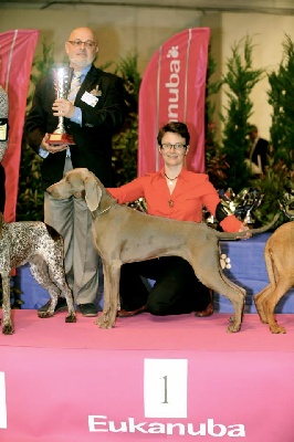 von silberweiss jäger - CHAMPIONNAT DE FRANCE 2013 !!!