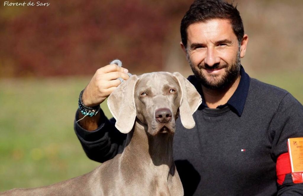 von silberweiss jäger - NEMROD BOB Jeune à Poitiers !