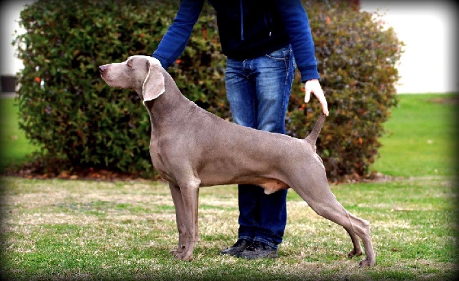 von silberweiss jäger - HORDIC Le Magnifique BEST IN GROUP @ IDS Toulouse !