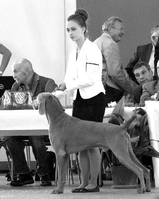 von silberweiss jäger - 2 BEST OF BREED again !!! :-D