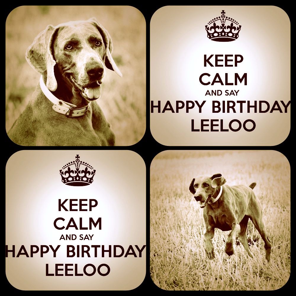 von silberweiss jäger - HAPPY BIRTHDAY LEELOOOOOOO !!!