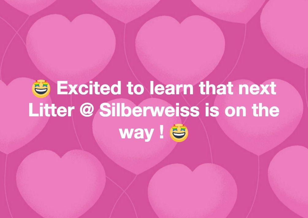 von silberweiss jäger - Excellentes NEWS !!!